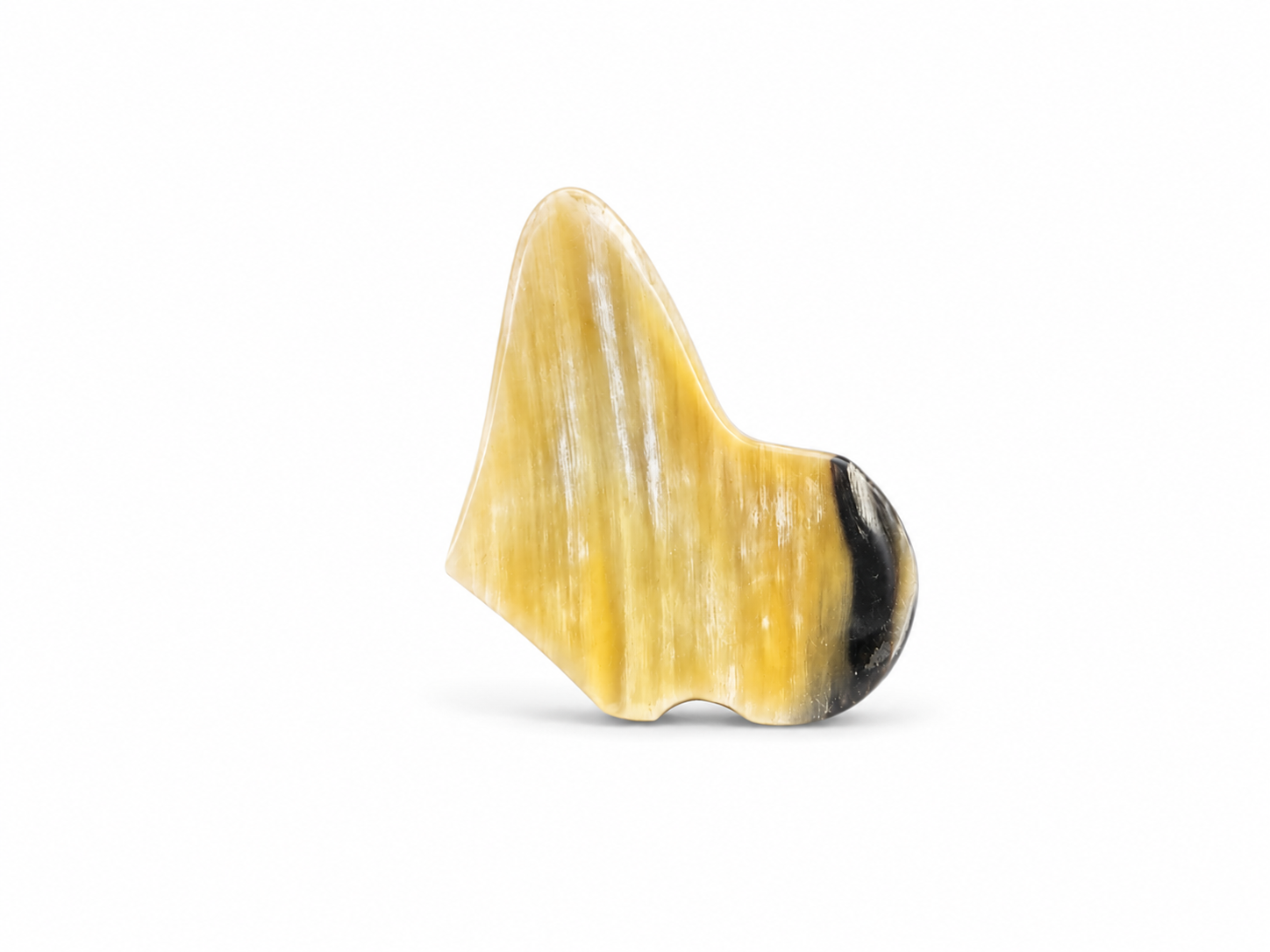 Ancestral Essence Rings